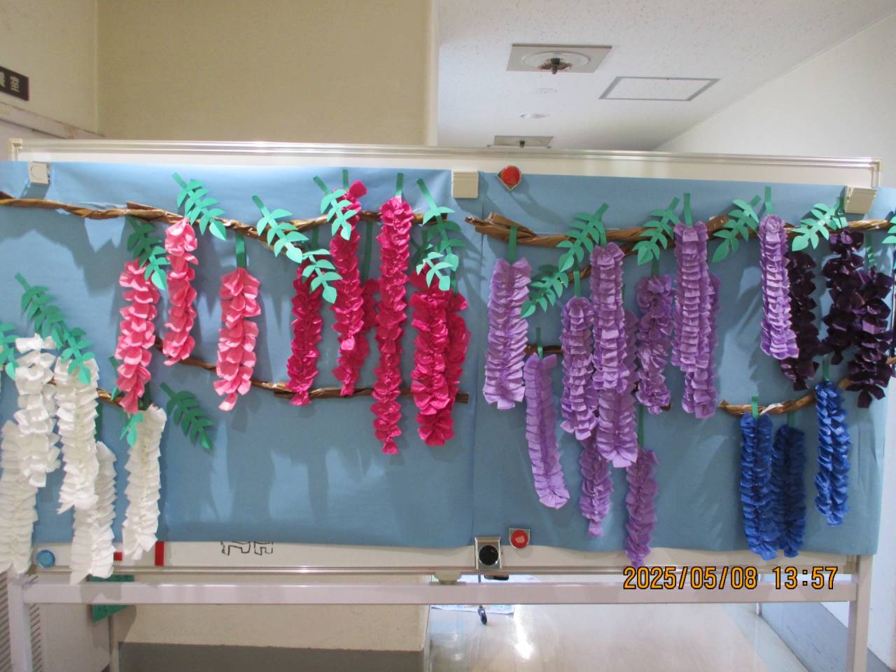 令和7年度　制作　藤