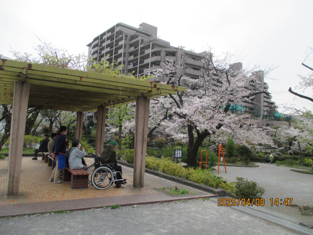 令和７年度　花見