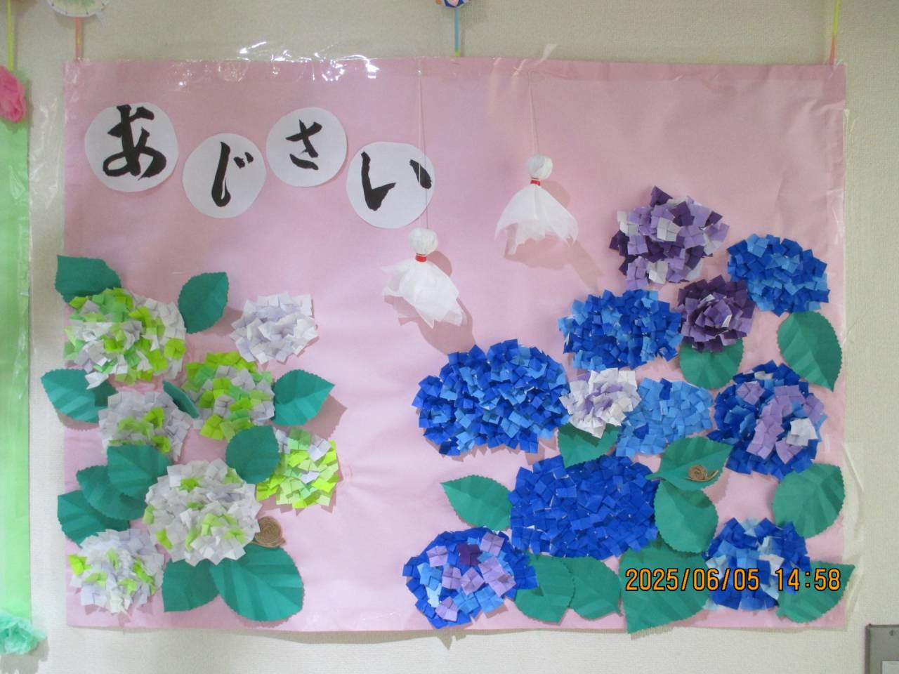 令和７年度　掲示物・栽培